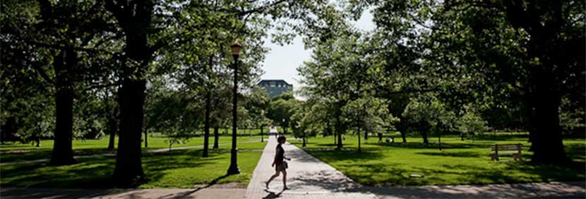 View the Summer Semester Courses.
