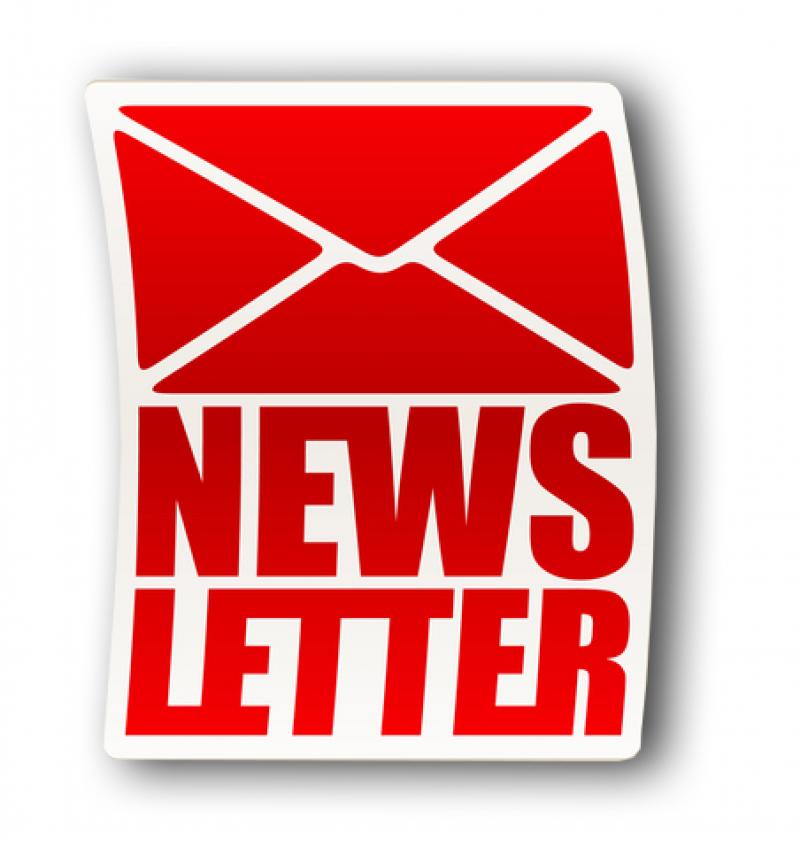 Generic graphic with the word newsletter.