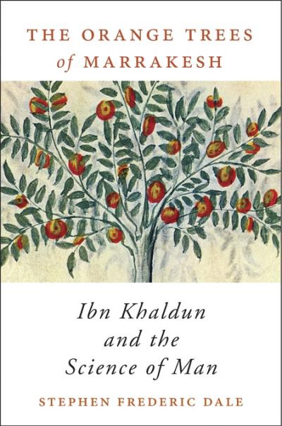 Book Cover of The Orange Tree of Marrakesh