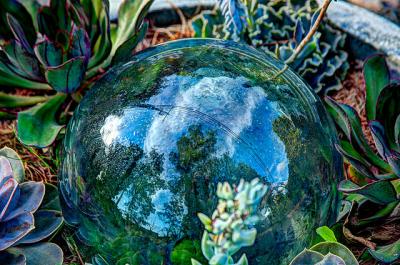 A glass globe in the middle of several garden plants.