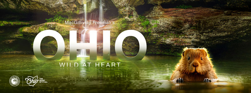 ohio at heart movie poster