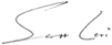 Scott Levi's signature