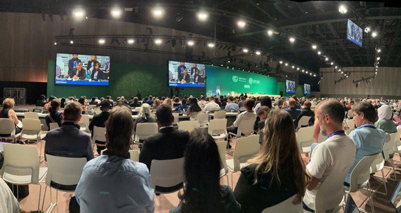 audience members at COP28