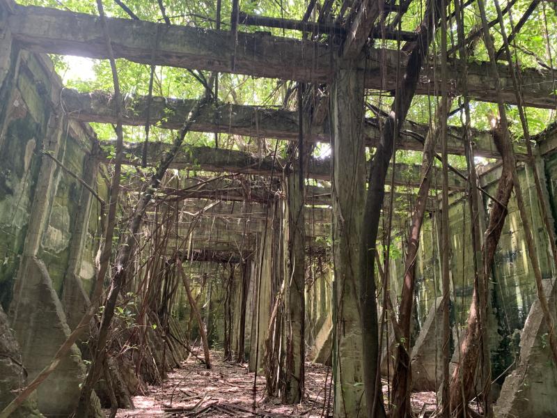 Peleliu2 Peleliu