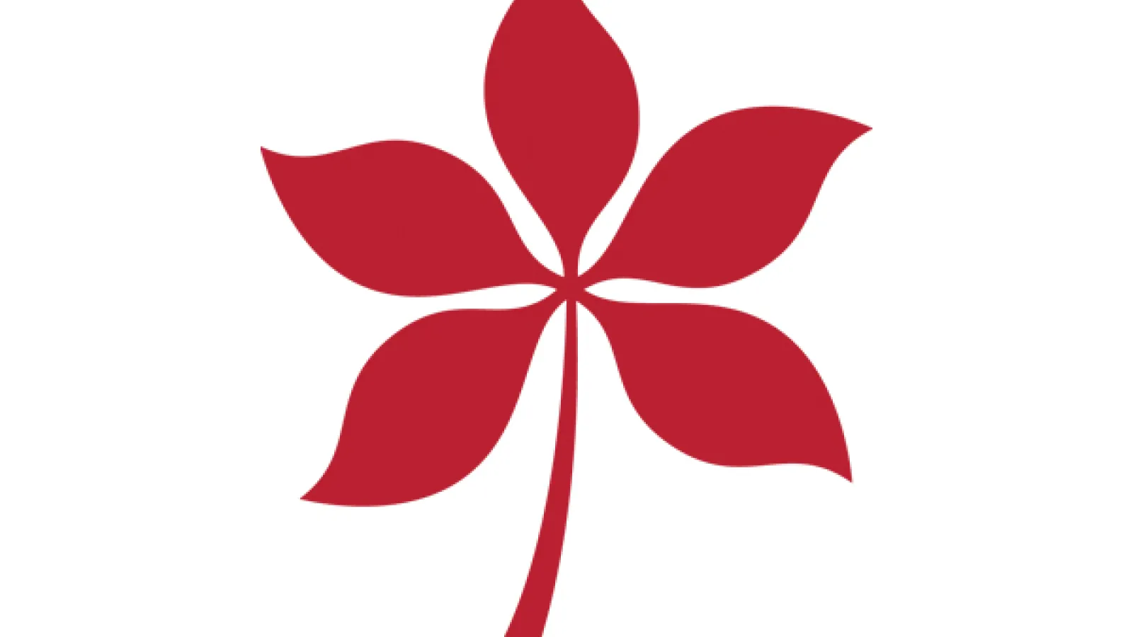 red buckeye leaf on white background