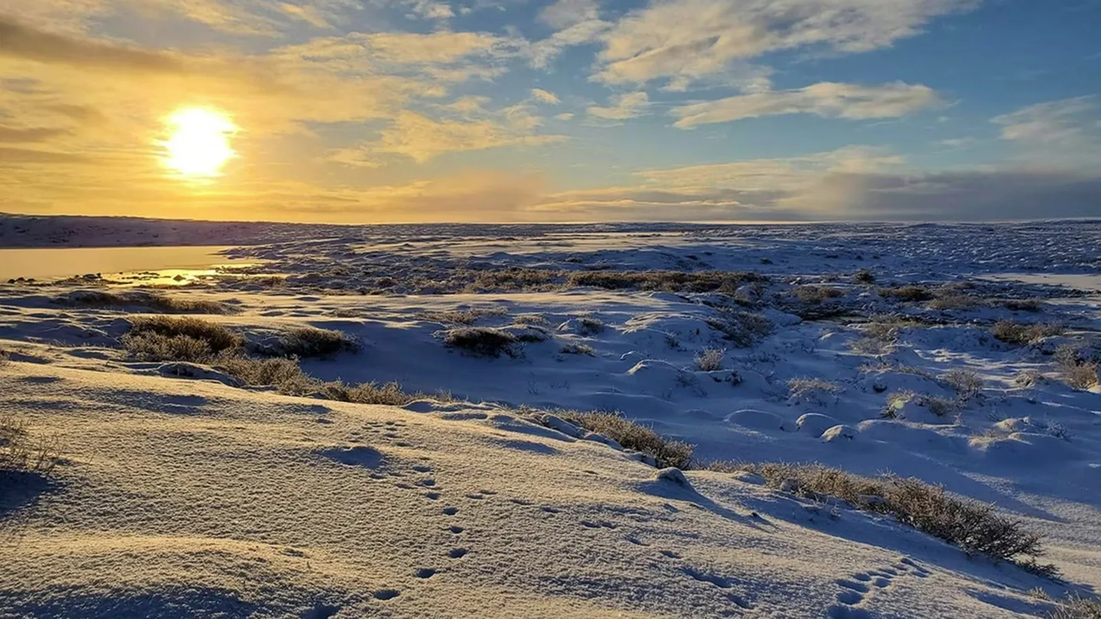 A snowy, barren landscape with setting sun
