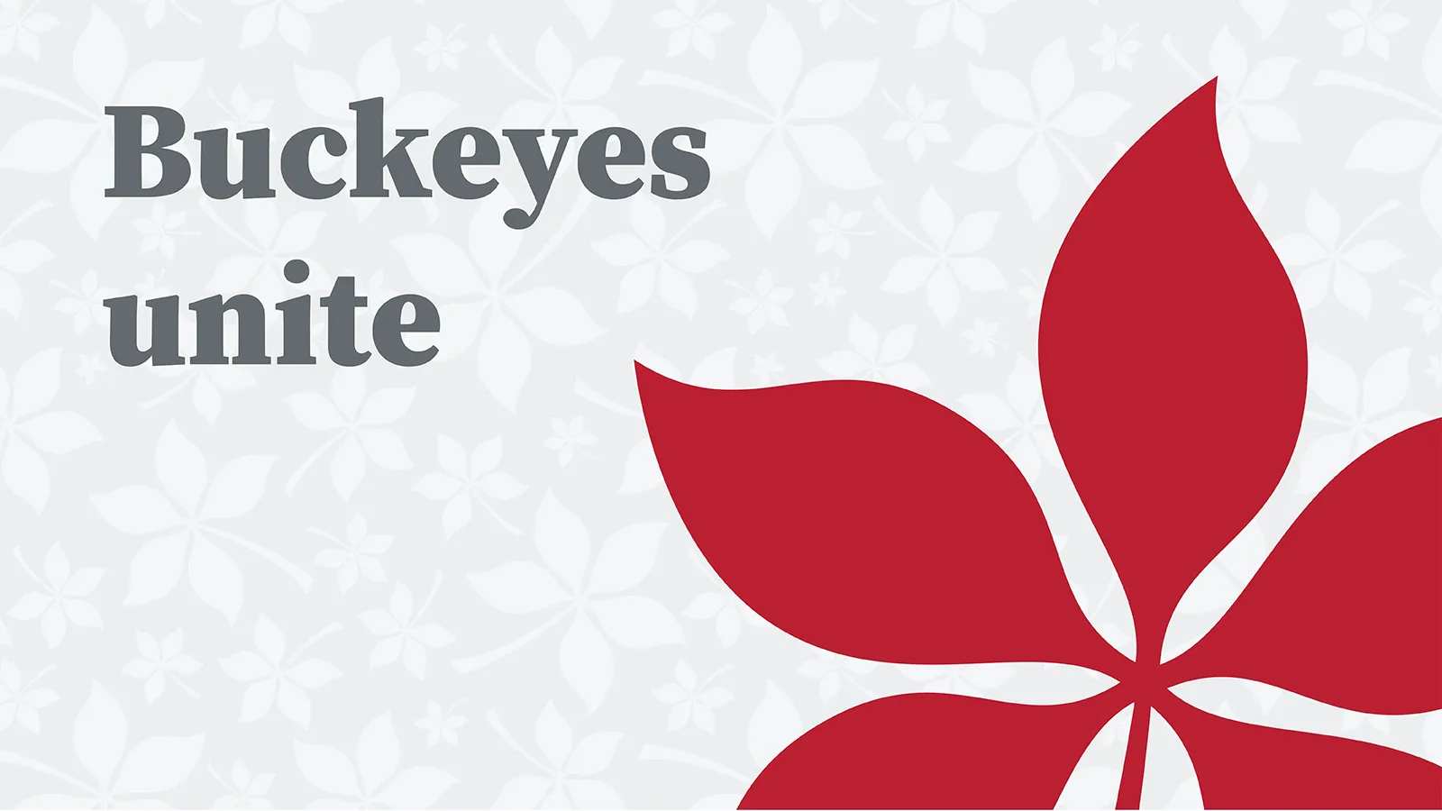 A large red buckeye leaf on a field of buckeye leaves in varying shades of gray