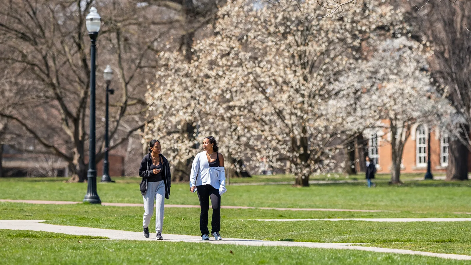 Students walking across The Oval at Ohio State in Spring