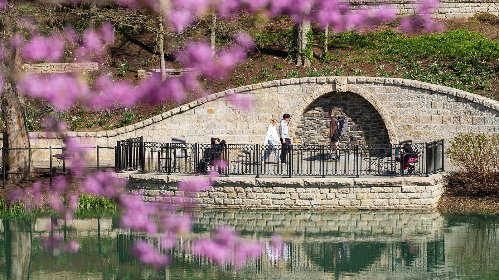 Students and Mirror Lake at Ohio State in spring with purple flowers
