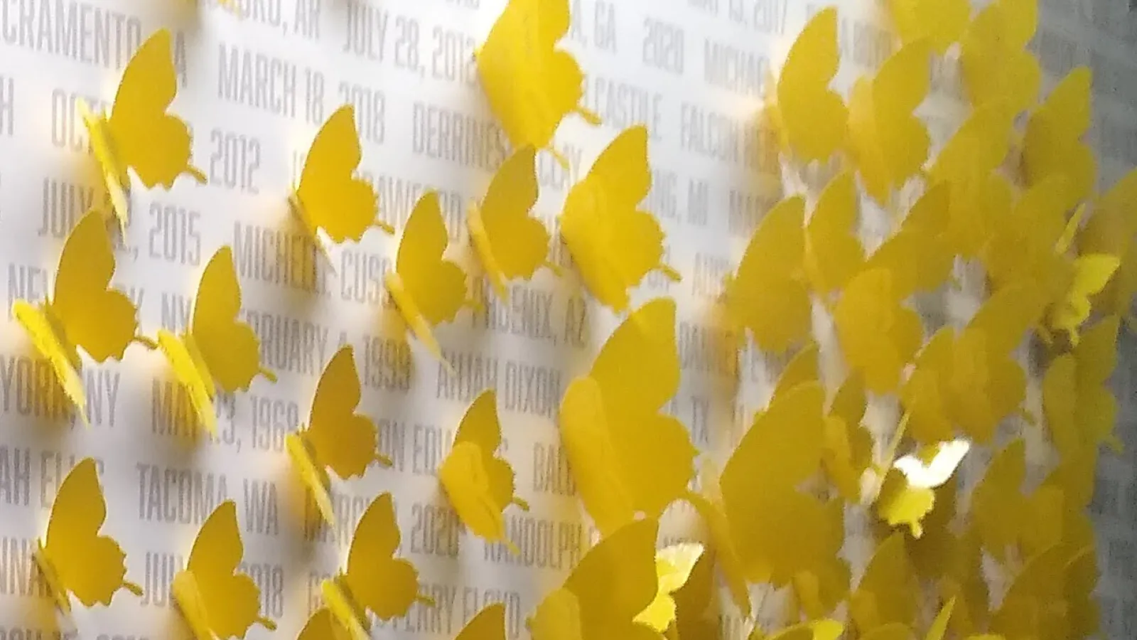yellow butterflies