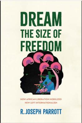 Dream the Size of Freedom Cover
