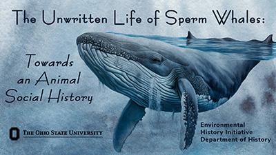 sperm whale