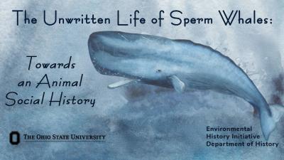 Sperm whale