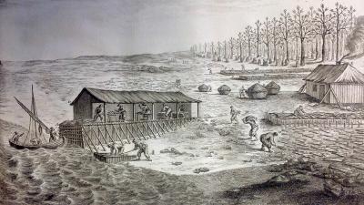 18th-Century engraving by Elisabeth-Mélanie Moitte from Henri-Louis Duhamel du Monceau's Traité général des pesches illustrating a traditional North Atlantic seasonal cod-processing station.