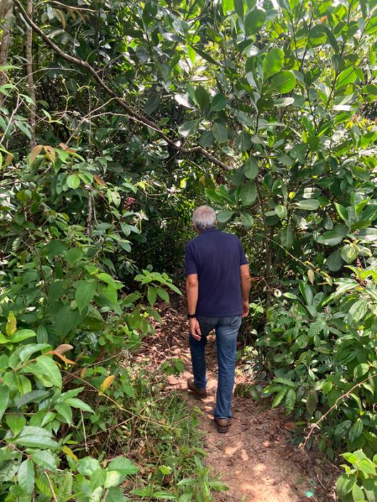 a man walking toward the forrest