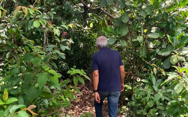 man walking in Amazonian rainforest