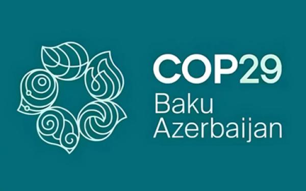 COP29 logo, text reads COP29 Baku Azerbaijan