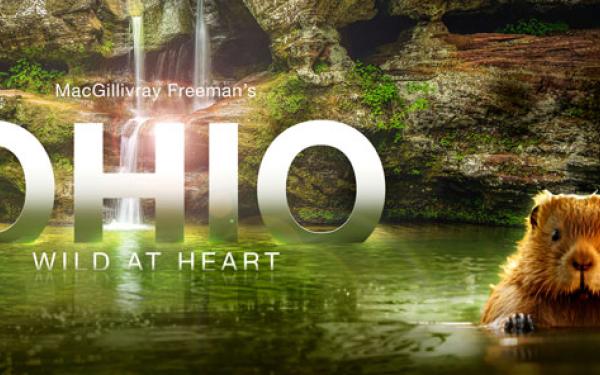 ohio at heart movie poster