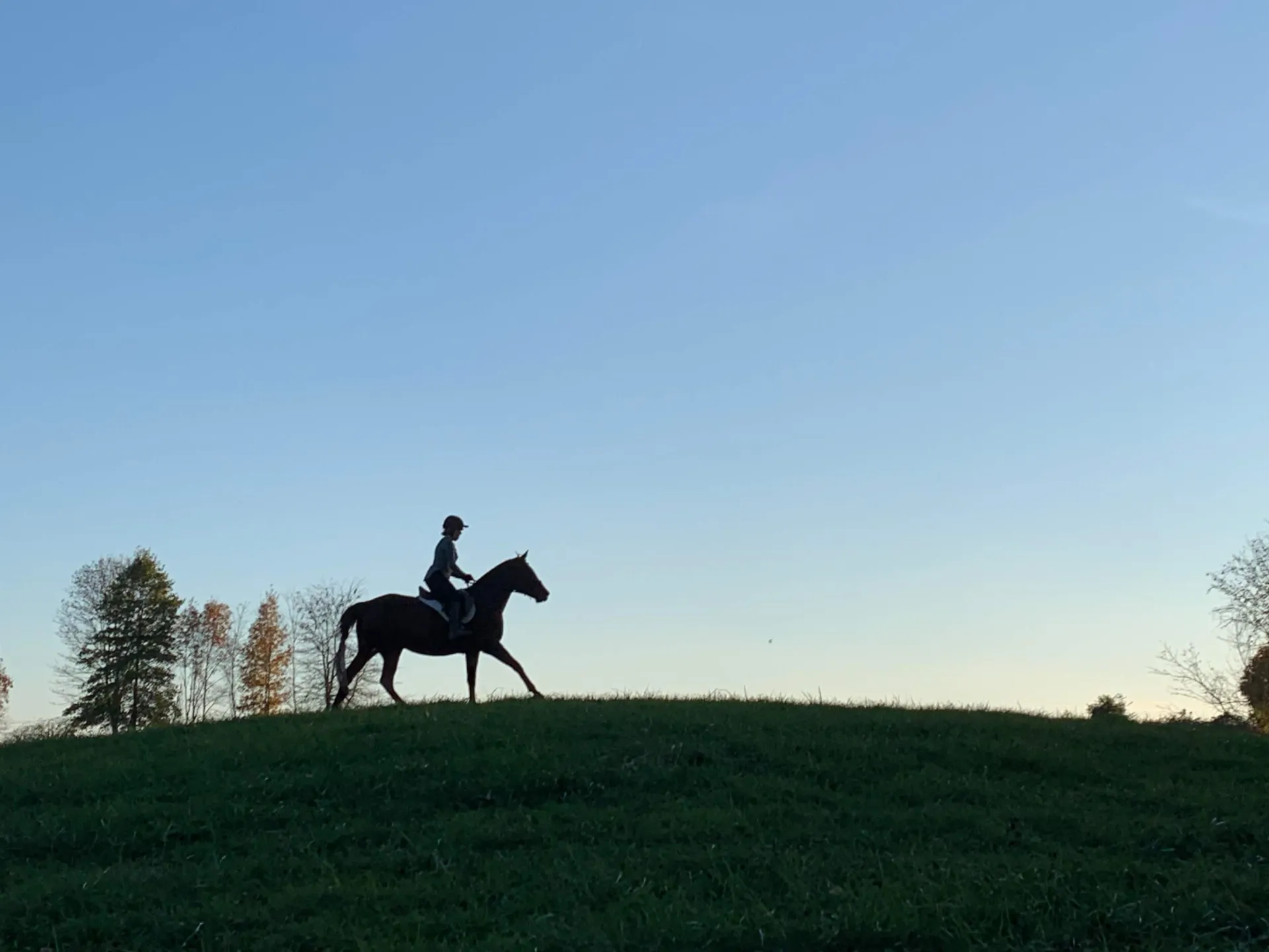 Sarah Wakefield riding her horse