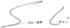 Scott Levi's signature
