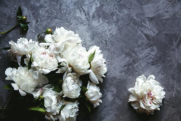 white flowers laying on a gray textured background