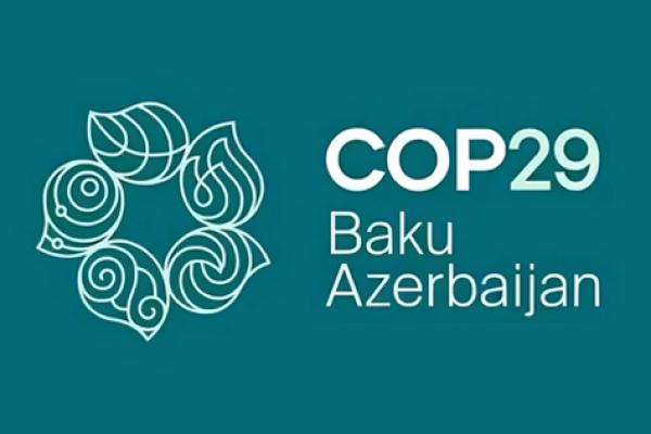 COP29 logo, text reads COP29 Baku Azerbaijan