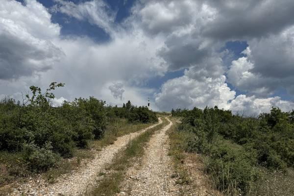 a dirt road surrounded by fields and puffy white clouds in the sky