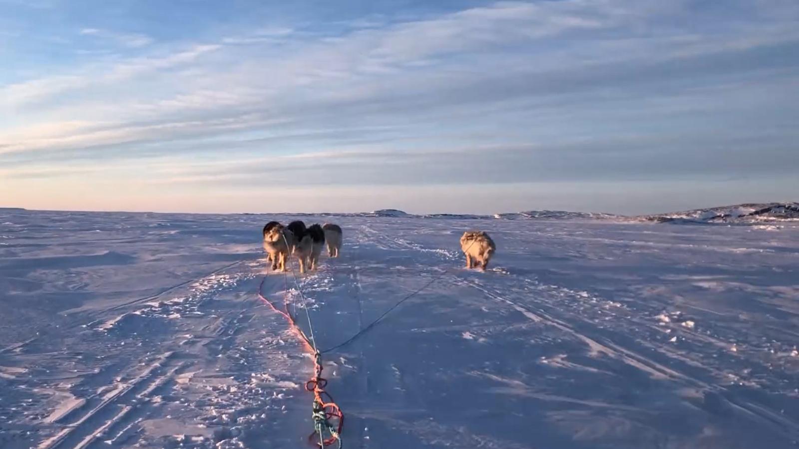 View of a dogsled team from the sled racing across a snowy field