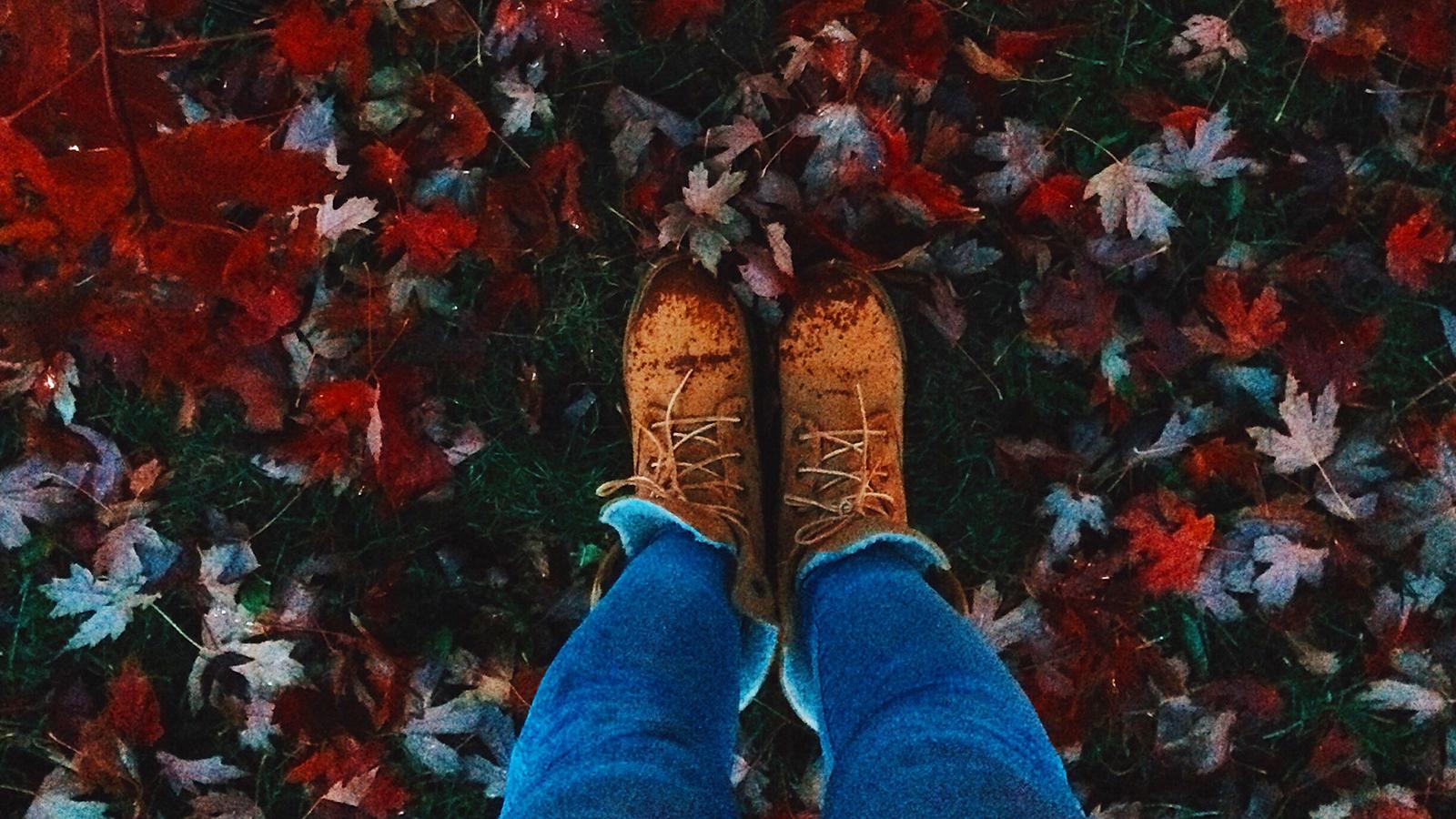 a person's legs and shoes standing on autumn leaves
