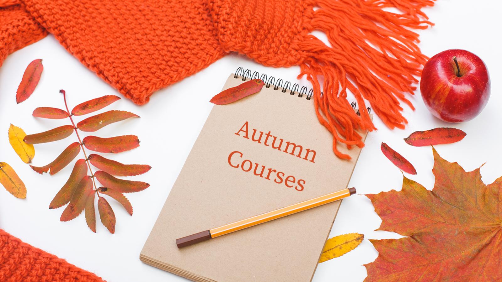 Autumn 2022 Undergraduate Courses