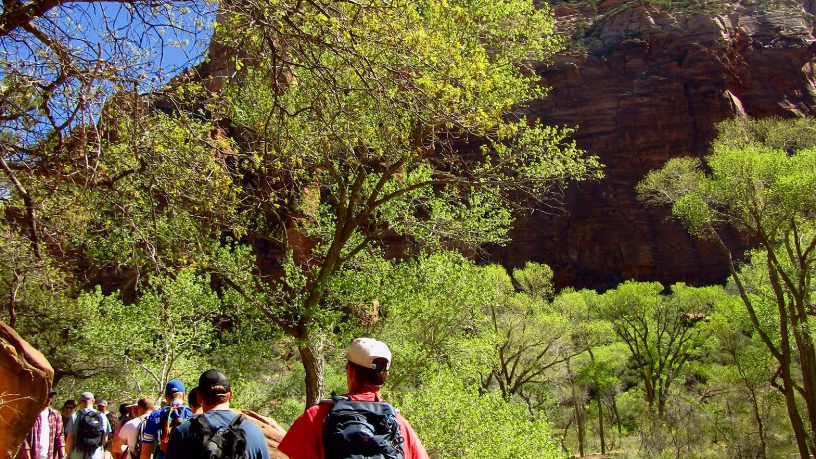 students hiking in Zion National Park 
