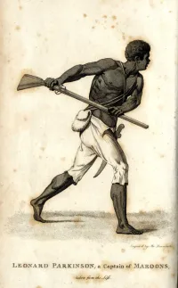 Engraving of Leonard Parkinson, Maroon Leader, Jamaica, 1796 - A shirtless man wielding a rifle